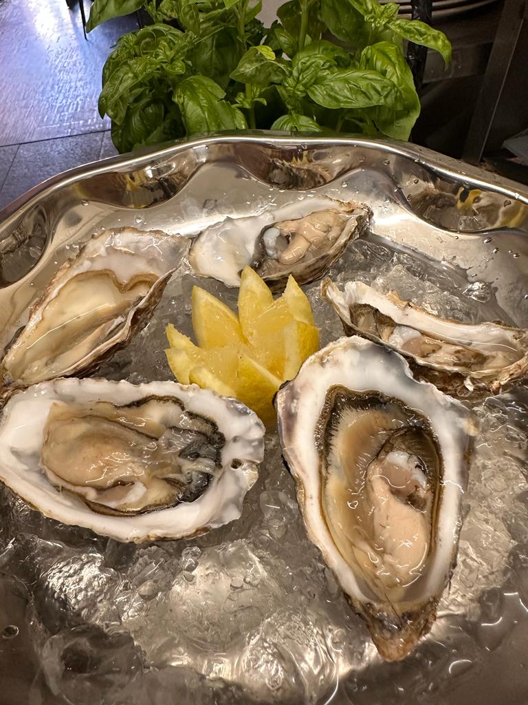 PHOTO-2023-06-08-13-46-37